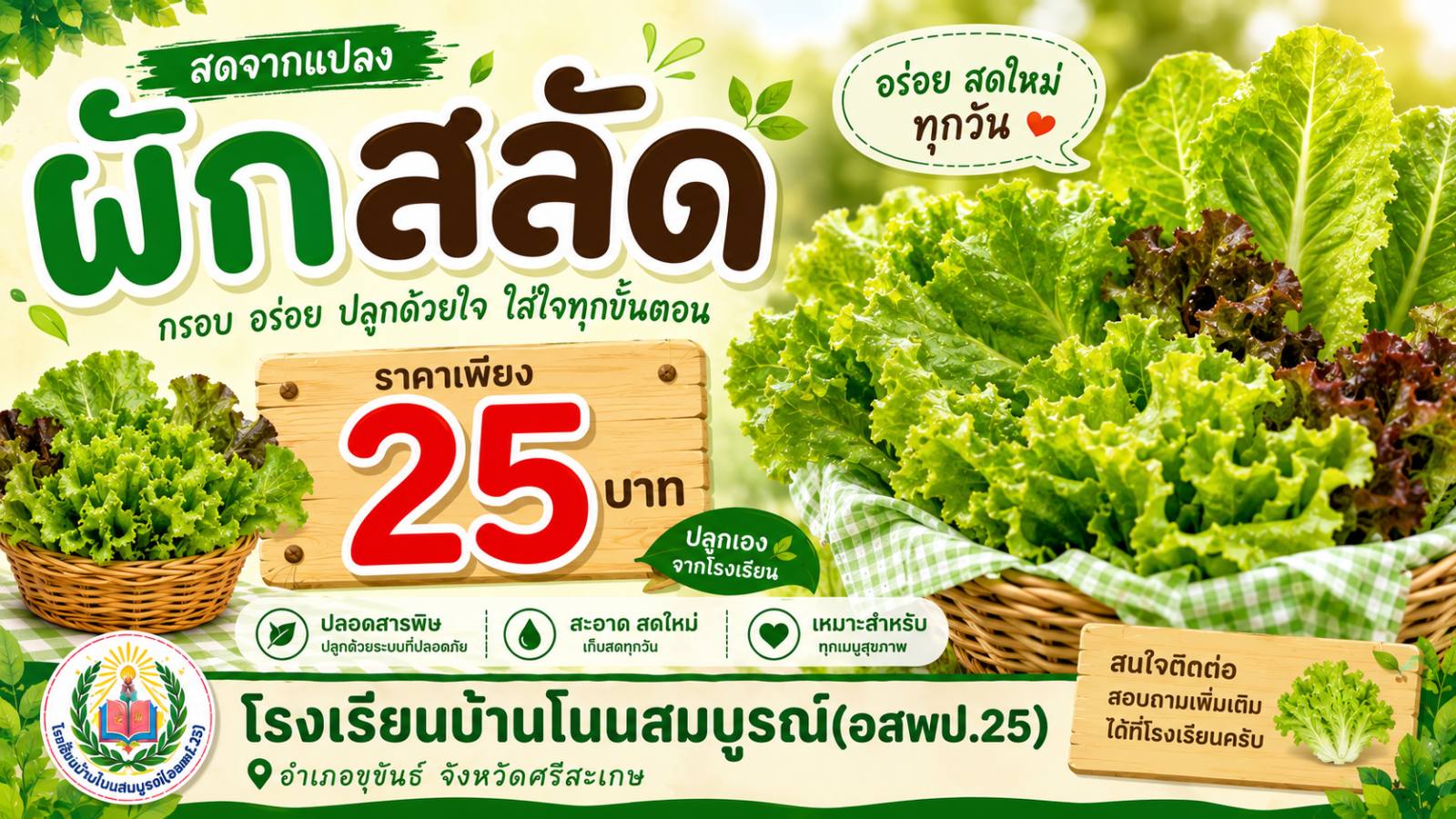 ผักสลัดปลอดสาร