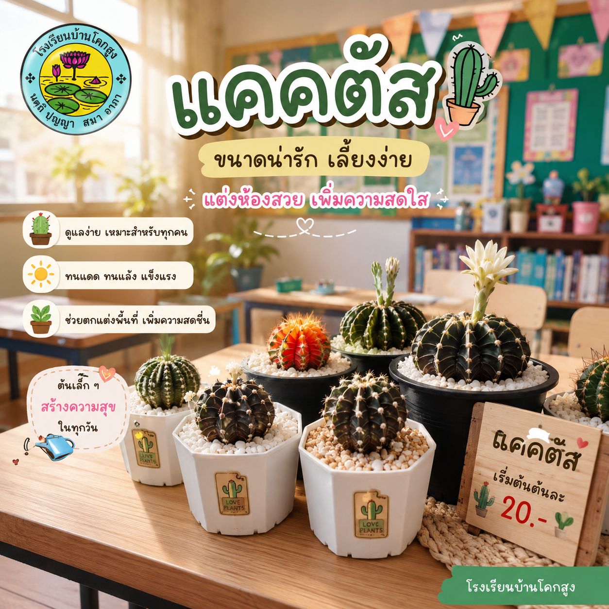 แคคตัส โรงเรียนบ้านโคกสูง